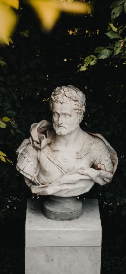 bust, sculpture, aesthetics Wallpaper 1080x2340