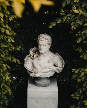 bust, sculpture, aesthetics Wallpaper 3329x4161