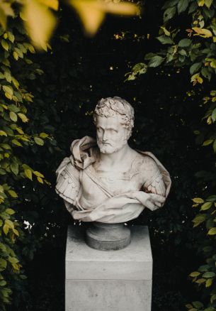 bust, sculpture, aesthetics Wallpaper 1640x2360