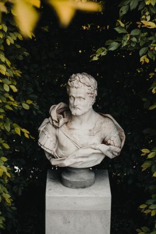 bust, sculpture, aesthetics Wallpaper 640x960