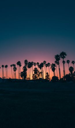 Santa Barbara, USA, dusk Wallpaper 600x1024