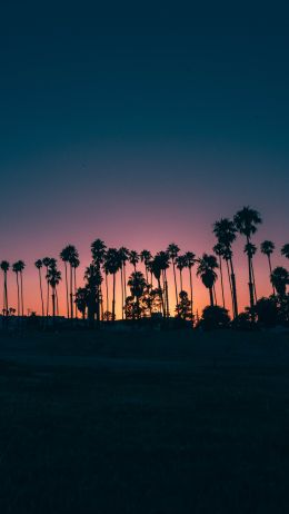 Santa Barbara, USA, dusk Wallpaper 2160x3840