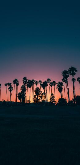 Santa Barbara, USA, dusk Wallpaper 1080x2220