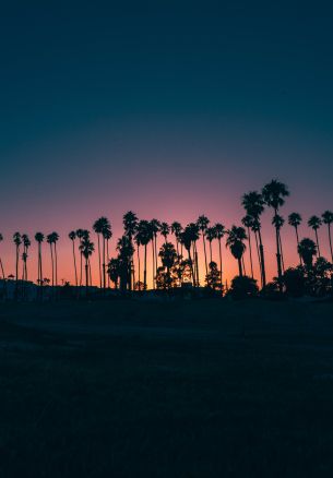 Santa Barbara, USA, dusk Wallpaper 1640x2360