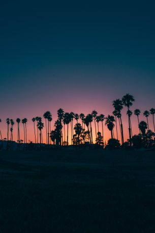 Santa Barbara, USA, dusk Wallpaper 640x960