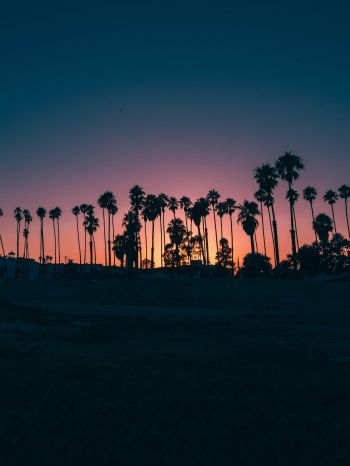 Santa Barbara, USA, dusk Wallpaper 1620x2160