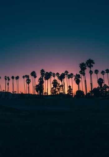 Santa Barbara, USA, dusk Wallpaper 1668x2388