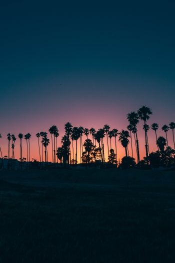 Santa Barbara, USA, dusk Wallpaper 640x960