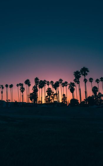 Santa Barbara, USA, dusk Wallpaper 800x1280