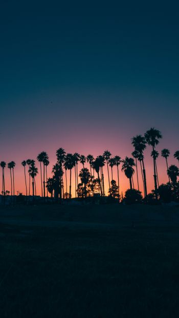 Santa Barbara, USA, dusk Wallpaper 640x1136