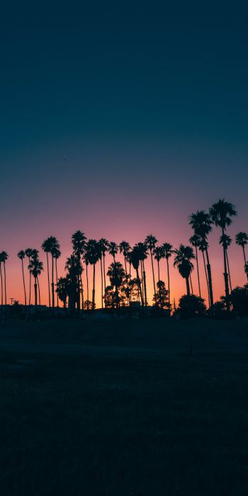 Santa Barbara, USA, dusk Wallpaper 720x1440