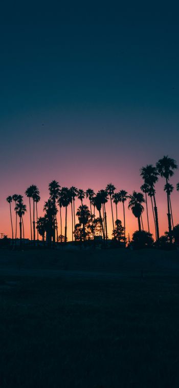 Santa Barbara, USA, dusk Wallpaper 1242x2688