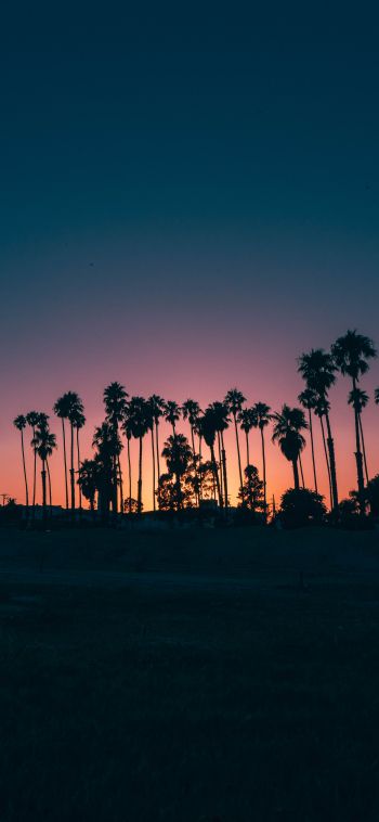 Santa Barbara, USA, dusk Wallpaper 1080x2340