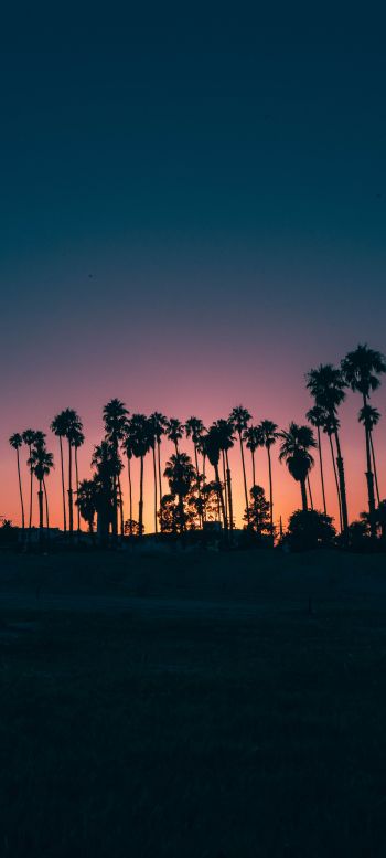 Santa Barbara, USA, dusk Wallpaper 1080x2400