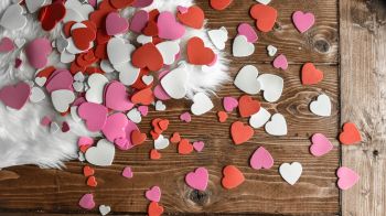 Valentine's day, hearts Wallpaper 1600x900
