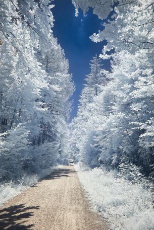 winter, road, white Wallpaper 4000x6000