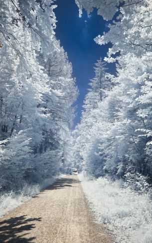 winter, road, white Wallpaper 1752x2800