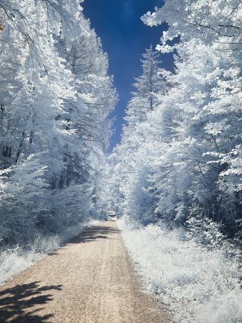 winter, road, white Wallpaper 1668x2224