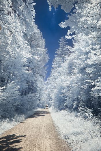 winter, road, white Wallpaper 640x960