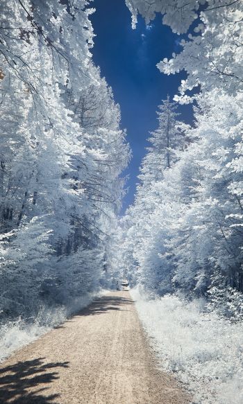 winter, road, white Wallpaper 1200x2000