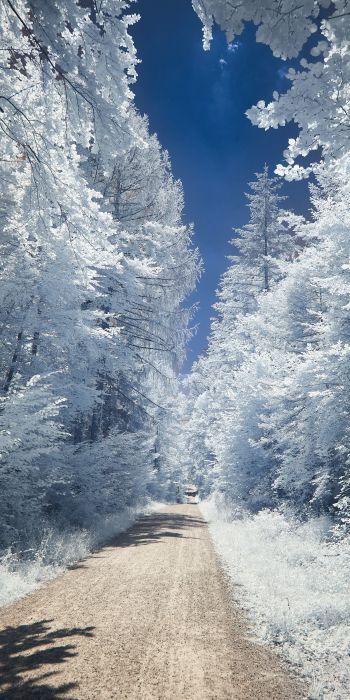 winter, road, white Wallpaper 720x1440