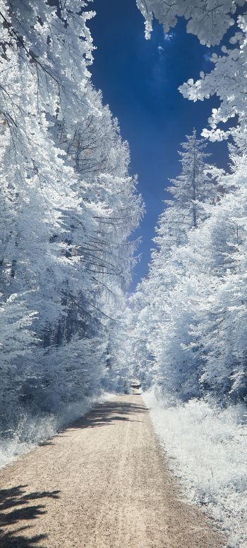 winter, road, white Wallpaper 1080x2400