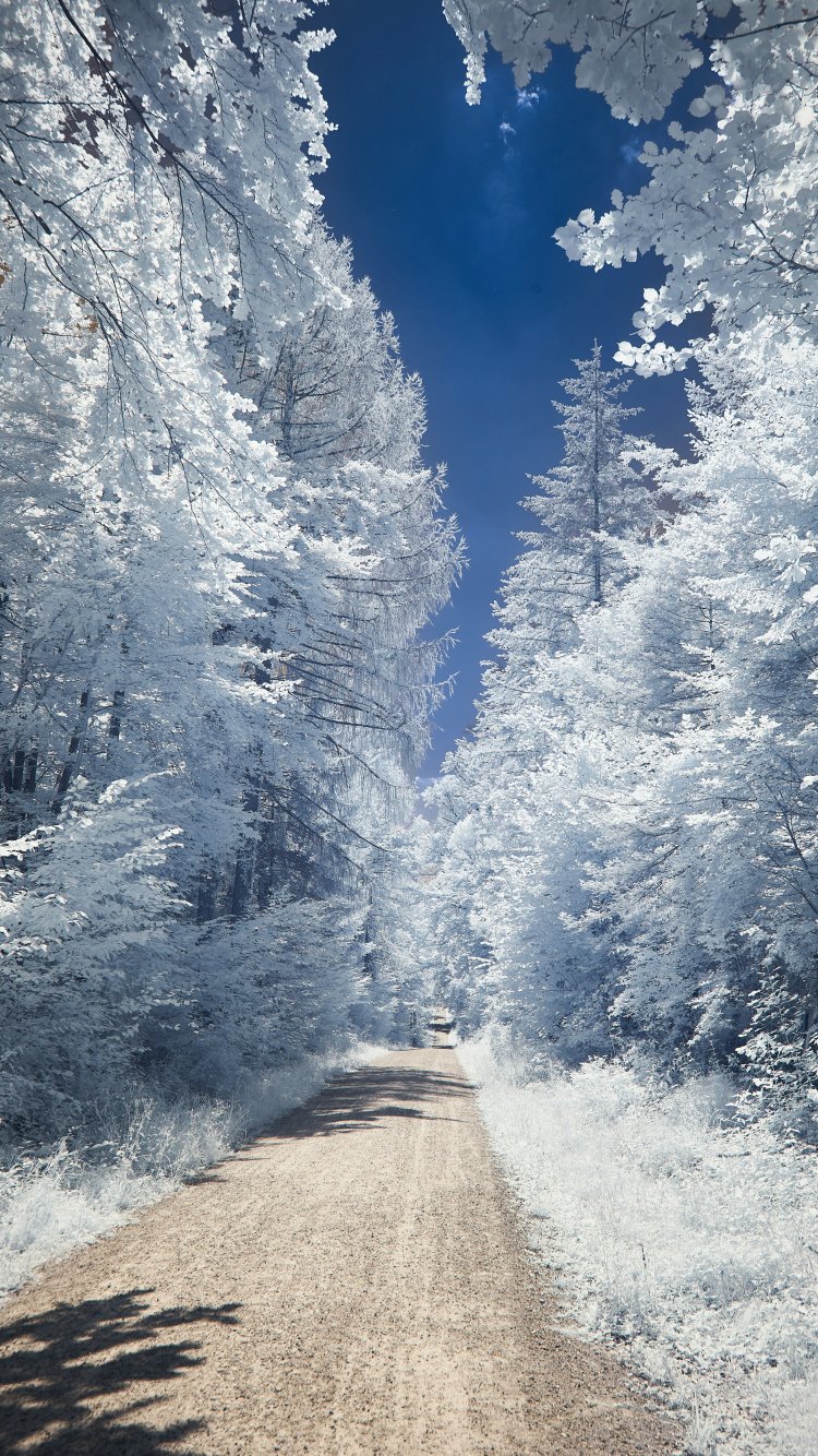 Зима, дорога, белый Обои 750x1334 iPhone 6, 6s, 7, 8, SE (2020)