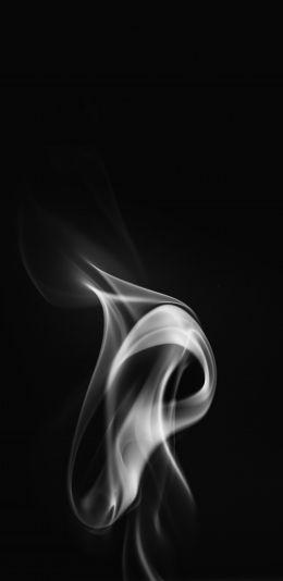 smoke, black and white Wallpaper 1440x2960