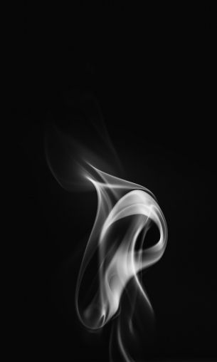 smoke, black and white Wallpaper 1200x2000