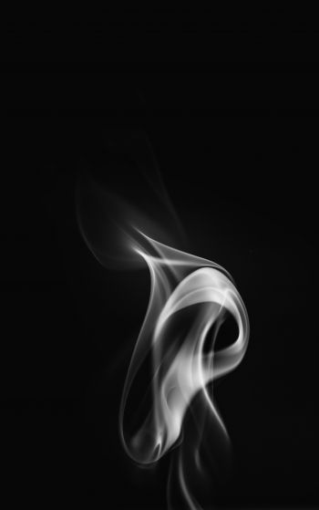 smoke, black and white Wallpaper 1752x2800