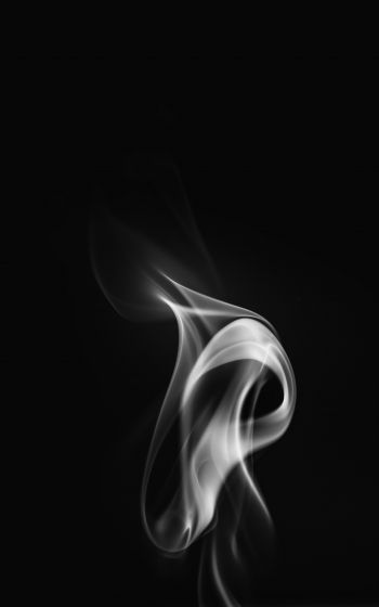 smoke, black and white Wallpaper 1600x2560