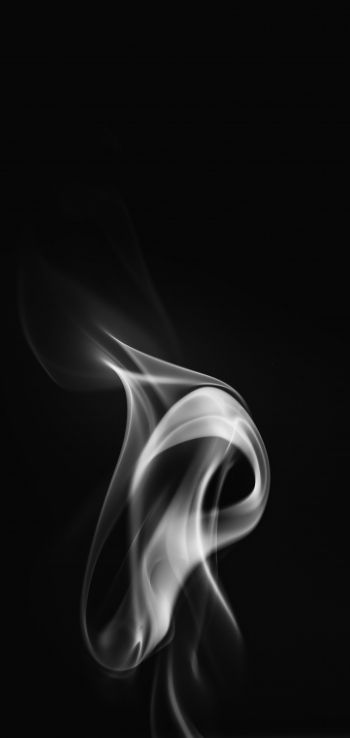 smoke, black and white Wallpaper 1440x3040