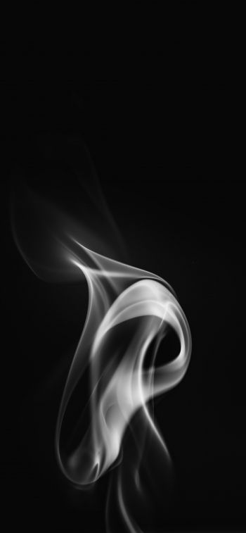 smoke, black and white Wallpaper 828x1792