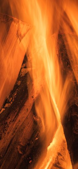 fire, bonfire Wallpaper 1284x2778