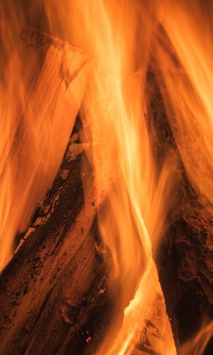fire, bonfire Wallpaper 1200x2000