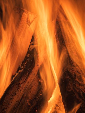 fire, bonfire Wallpaper 1620x2160