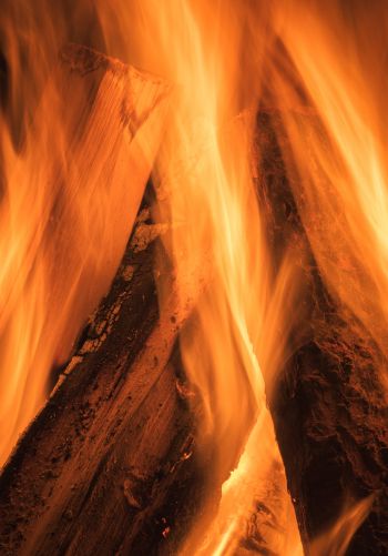 fire, bonfire Wallpaper 1668x2388