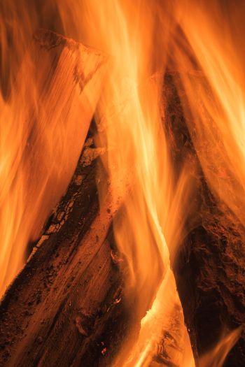 fire, bonfire Wallpaper 640x960