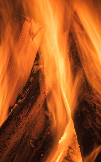 fire, bonfire Wallpaper 1752x2800