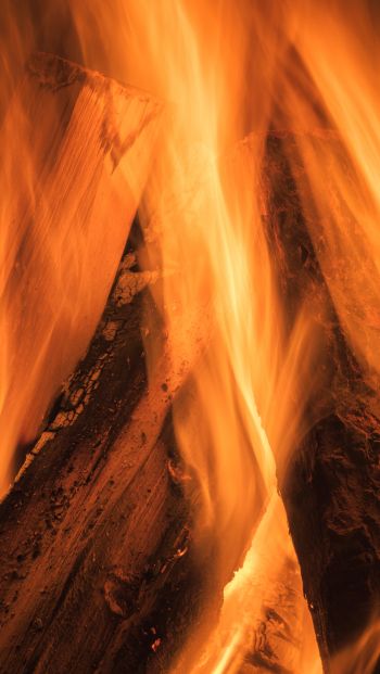 fire, bonfire Wallpaper 640x1136