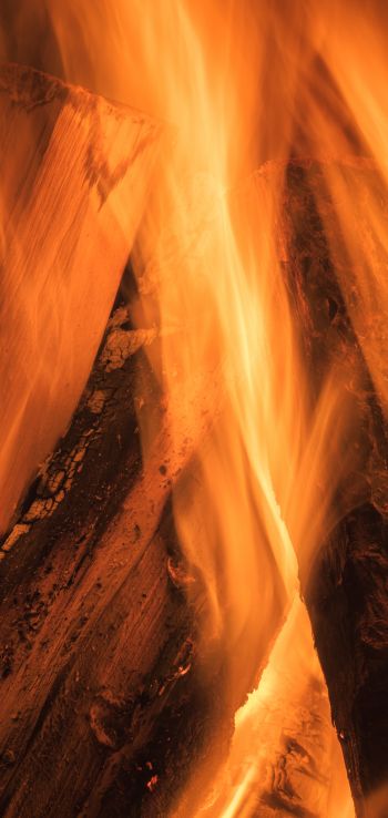 fire, bonfire Wallpaper 1080x2280
