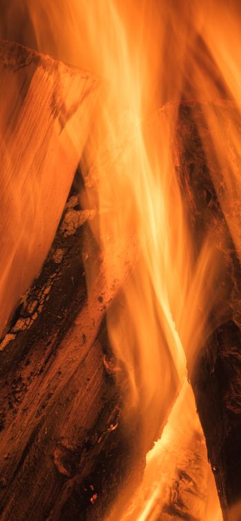 fire, bonfire Wallpaper 828x1792