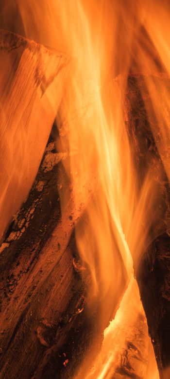 fire, bonfire Wallpaper 1080x2400