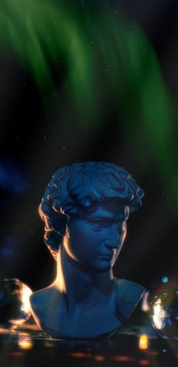 David, bust, sculpture Wallpaper 1080x2220