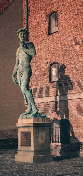 David, statue, sculpture Wallpaper 720x1520