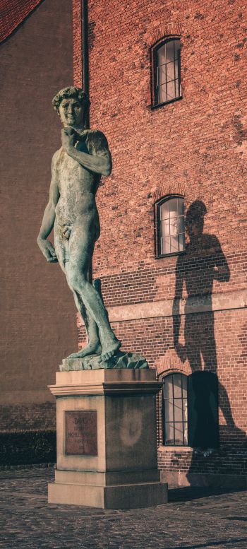 Обои 720x1600 Давид, статуя, скульптура