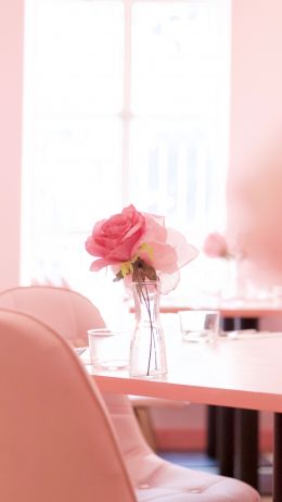 pink rose, aesthetics Wallpaper 2160x3840