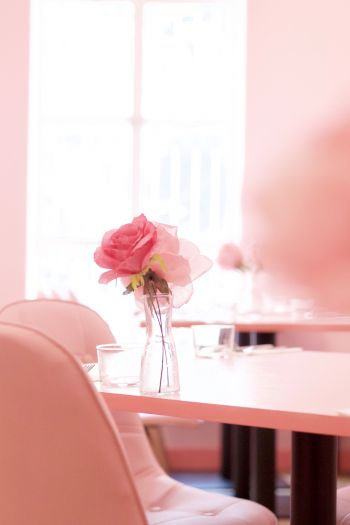 pink rose, aesthetics Wallpaper 640x960