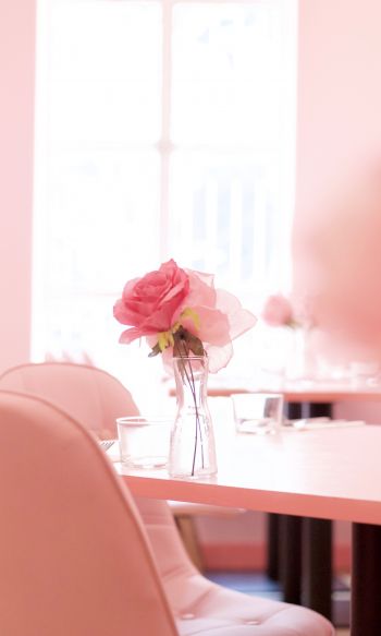 pink rose, aesthetics Wallpaper 1200x2000