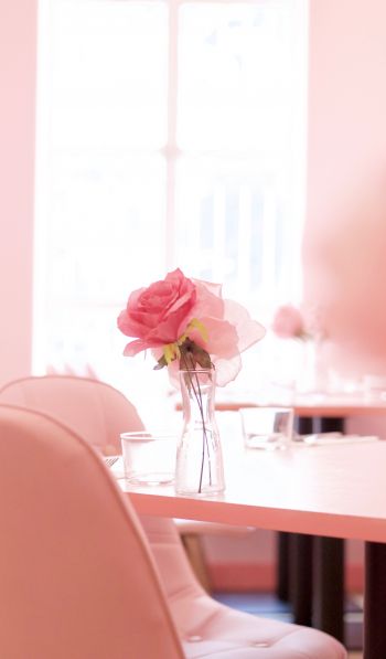 pink rose, aesthetics Wallpaper 600x1024